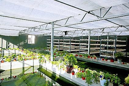 ��ʽ�Ҹ����������ϏS��С���ӵ���ˮ���l(f��)�]���ˡ���Ч��!