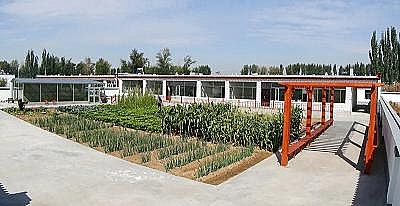 ��ʽ�Ҹ����������ϏS��С���ӵ���ˮ���l(f��)�]���ˡ���Ч��!