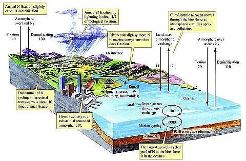 ��Ʒ�|��ʯ�V�����a�S����ˮ�YԴ���Ďׂ�����Ԕ�⣺�׻��ա���ˮ��Դ�á�����ˮ