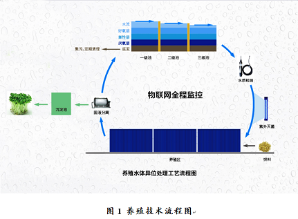 優(yōu)良立體網(wǎng)狀填料生產(chǎn)廠家“集裝箱+生態(tài)池塘”集約養(yǎng)殖與尾水高效處理技術(shù)