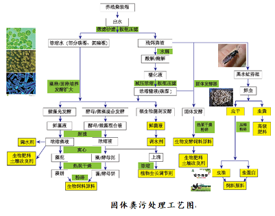 優(yōu)良立體網(wǎng)狀填料生產(chǎn)廠家“集裝箱+生態(tài)池塘”集約養(yǎng)殖與尾水高效處理技術(shù)