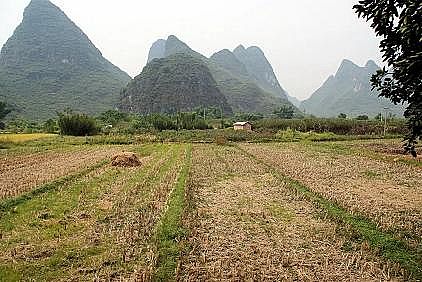 �w�S��V��25mm�S���r��ˮ�h���C������