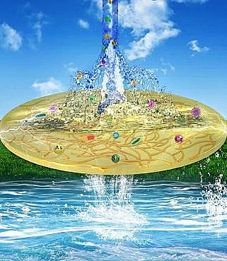 �h��ʯӢɰ�V��8-16mm�S����늻��Է��xĤ�I��ȡ��ϵ���о��Mչ