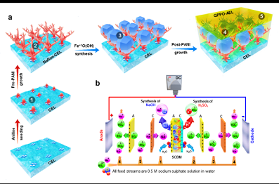 ���F�V�V��2-4mm���a�S���Ї��ƴ����p�OĤҎ�����Ƃ�ȡ�����Mչ