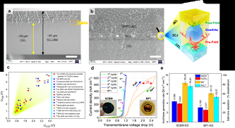 ���F�V�V��2-4mm���a�S���Ї��ƴ����p�OĤҎ�����Ƃ�ȡ�����Mչ