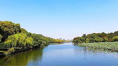 2021年固體脫色劑生產廠家2021年水處理市場3大板塊不容忽視!