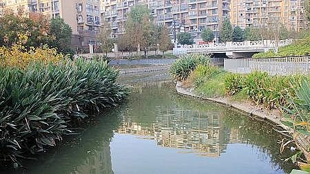 2021年固體脫色劑生產廠家2021年水處理市場3大板塊不容忽視!