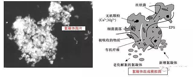 環保粉狀活性炭廠家污水廠應對污泥膨脹的技術管理