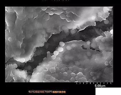 環保粉狀活性炭廠家污水廠應對污泥膨脹的技術管理