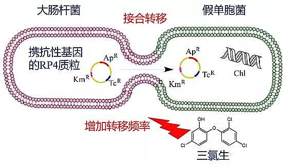 固體消毒劑氯片生產廠家新冠期間過渡消毒可能會加速超級細菌的傳播