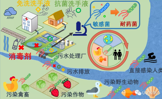 固體消毒劑氯片生產廠家新冠期間過渡消毒可能會加速超級細菌的傳播