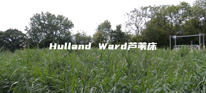 精制聚合氯化鋁鐵PAFC生產廠家打造下一代污水廠的厭氧工藝