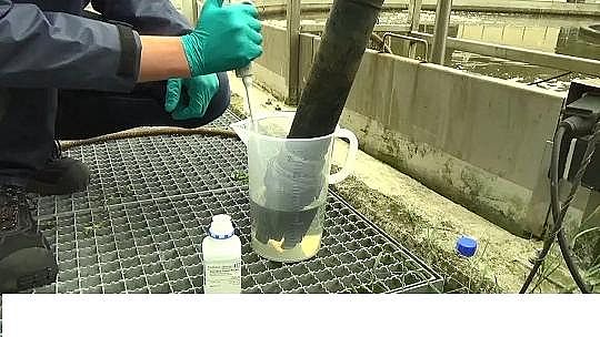 多功能蜂窩斜管填料生產廠家如何提升污水廠的自動控制系統作用