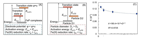 新式水處理藥劑復合碳源生產廠家電促進生物還原技術釋放并回收鐵鹽絮凝沉淀中磷的最新研究進展