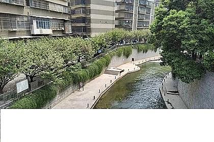 高品質生物流化床填料MBBR生產廠家走進全國埋深最大的全埋式水廠——貴醫再生水廠