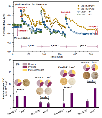 精選木魚石濾料生產(chǎn)廠家酶洗可緩解由多糖引發(fā)的反滲透膜反復(fù)污染問題