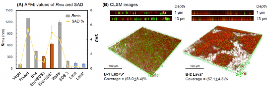 精選木魚石濾料生產(chǎn)廠家酶洗可緩解由多糖引發(fā)的反滲透膜反復(fù)污染問題