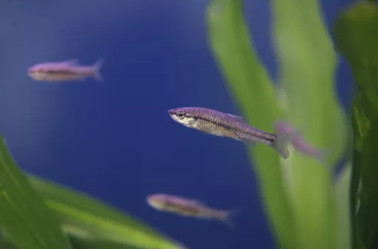 新式生物陶粒濾料生產廠家燕山石化污水回用裝置讓“能喝的污水”從傳說變成現實