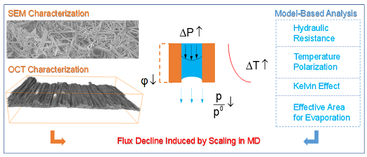 新式稀土瓷砂濾料廠家發表膜蒸餾系列研究成果