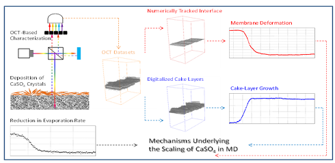 新式稀土瓷砂濾料廠家發表膜蒸餾系列研究成果