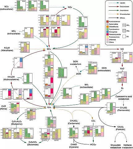 ��Ʒ�|��������������MBBR�S��������Ĥ�p��΢����Դ�ܽ����ЙC�����ŷ�