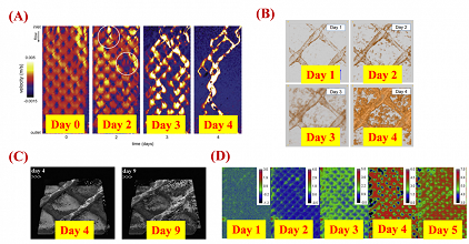 環保無煙煤濾料廠家水處理用卷式膜組件進水隔網的作用與性能優化