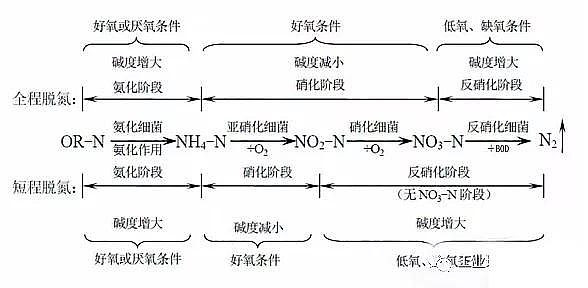 精制水處理材料生產廠家分析氨氮超標原因與解決辦法