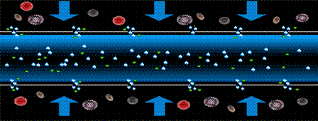 ��Ʒ�|(zh��)��Cб�����ϏS������12̖(h��o)�����̫��90�죬�@Щ�Uˮ̎�����g(sh��)������̎!