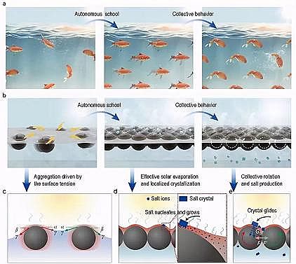 ���xú�|�w������̿���a�S�����~ȺЧ�����l��̫���ˮ�}���x����