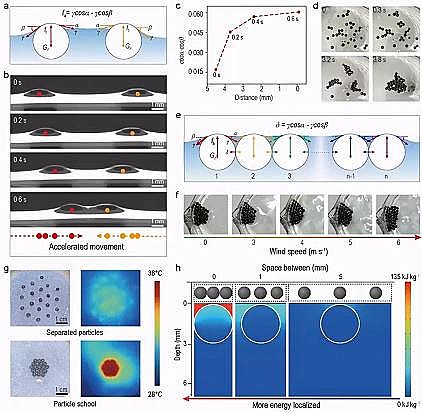 ���xú�|�w������̿���a�S�����~ȺЧ�����l��̫���ˮ�}���x����