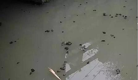 ���|(zh��)�����������X��?y��n)V�ϏS����ˮ̎���(bi��o)��(zh��n)��ˮ�|(zh��)�ȼ�(j��)