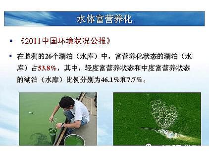 ��(y��u)�|(zh��)�������͚��������a(ch��n)�S��һ���f͸������������ˇ