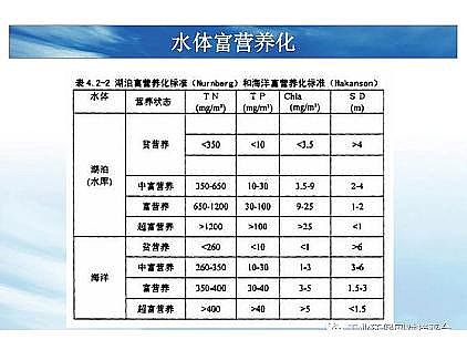 ��(y��u)�|(zh��)�������͚��������a(ch��n)�S��һ���f͸������������ˇ