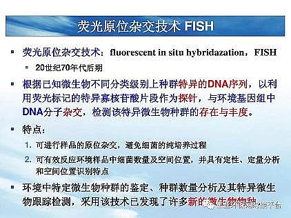 ��(y��u)�|(zh��)�������͚��������a(ch��n)�S��һ���f͸������������ˇ