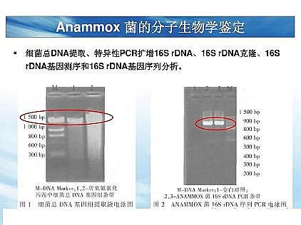 ��(y��u)�|(zh��)�������͚��������a(ch��n)�S��һ���f͸������������ˇ