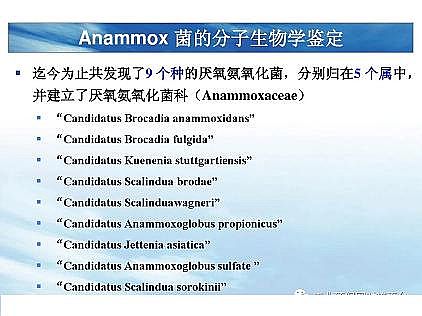 ��(y��u)�|(zh��)�������͚��������a(ch��n)�S��һ���f͸������������ˇ