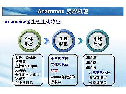 ��(y��u)�|(zh��)�������͚��������a(ch��n)�S��һ���f͸������������ˇ