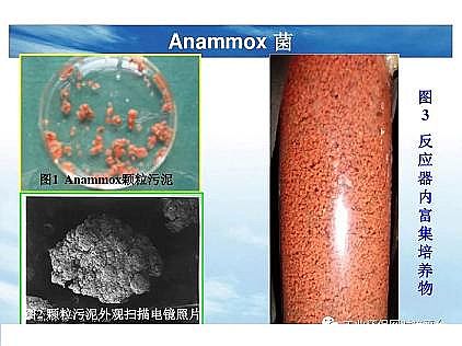 ��(y��u)�|(zh��)�������͚��������a(ch��n)�S��һ���f͸������������ˇ