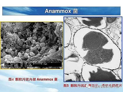 ��(y��u)�|(zh��)�������͚��������a(ch��n)�S��һ���f͸������������ˇ