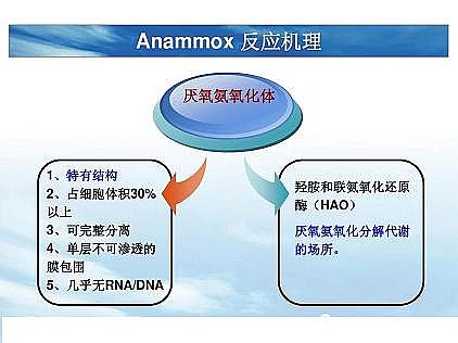 ��(y��u)�|(zh��)�������͚��������a(ch��n)�S��һ���f͸������������ˇ