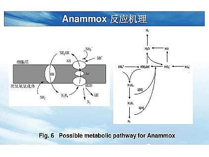 ��(y��u)�|(zh��)�������͚��������a(ch��n)�S��һ���f͸������������ˇ