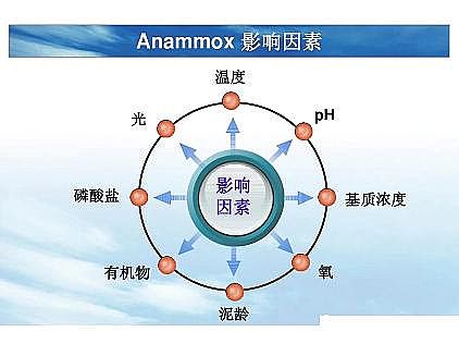 ��(y��u)�|(zh��)�������͚��������a(ch��n)�S��һ���f͸������������ˇ