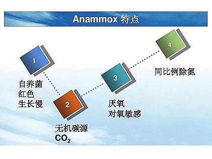 ��(y��u)�|(zh��)�������͚��������a(ch��n)�S��һ���f͸������������ˇ