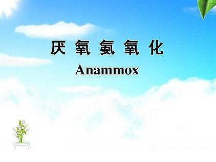 ��(y��u)�|(zh��)�������͚��������a(ch��n)�S��һ���f͸������������ˇ