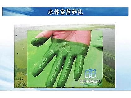 ��(y��u)�|(zh��)�������͚��������a(ch��n)�S��һ���f͸������������ˇ