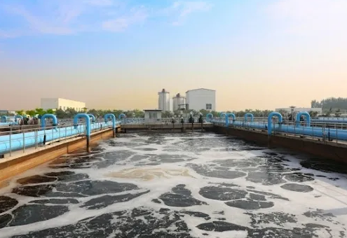 ���x�۱�ϩ����PAM���a�S����ˮ�S����صİ����z�y�cDO����