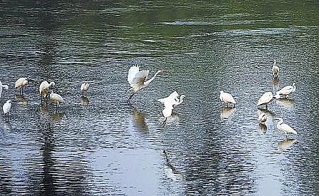 ���x���w�������ϏS��12.01�|������!��������ˮ��ʹ�ÿ����B�m����ȫ����һ