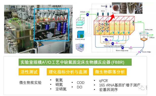 質量認證聚合氯化鋁PAC生產廠家基于實際污水A2/O工藝中懸浮污泥生物量減量實現缺氧生物膜中厭氧氨氧化菌的高度富集