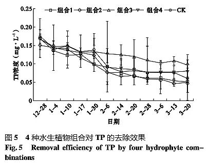 ��Ч�Z��ʯ�V�����a(ch��n)�S���ķN����ˮ��ֲ��M�ό����I�B(y��ng)��ˮ�w�ă���Ч��