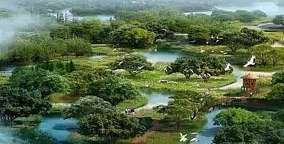 上等陰離子聚丙烯酰胺HPAM廠家濕生植物對富營養化水體修復研究